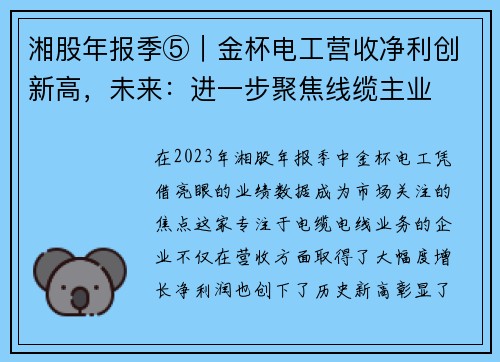 湘股年报季⑤｜金杯电工营收净利创新高，未来：进一步聚焦线缆主业