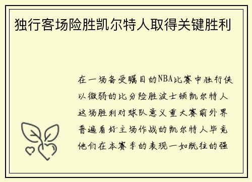 独行客场险胜凯尔特人取得关键胜利