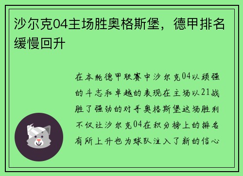沙尔克04主场胜奥格斯堡，德甲排名缓慢回升