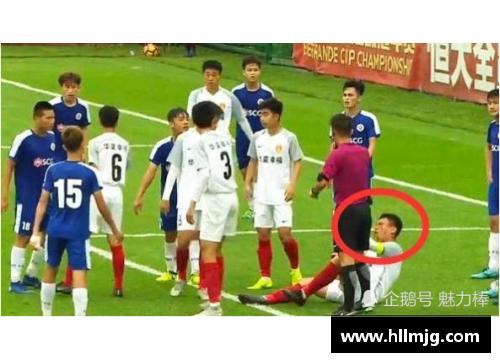 突发事件：棒球球员的意外与应对